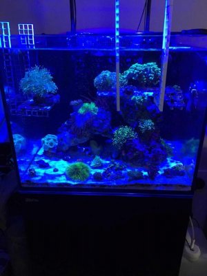 IMG_3422.jpg IMG_3422.jpg