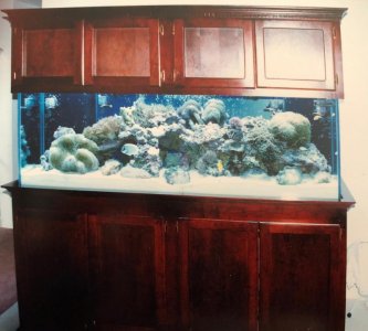 Tank_180 Gallon_Overview.jpg