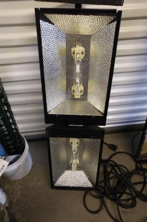 Hamilton Halide-1.jpg