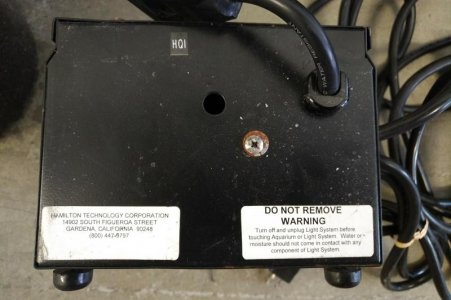 Hamilton Halide-3.jpg