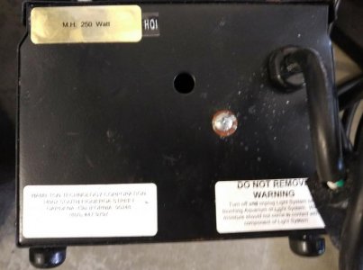 Hamilton Halide-4.jpg