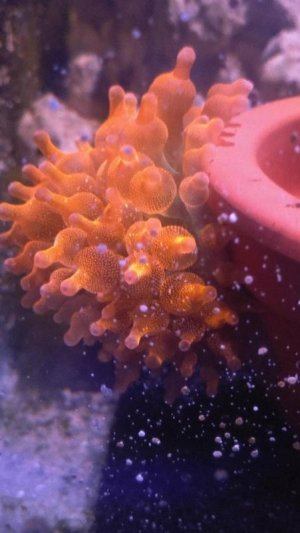 0616181021a - Edited (1).jpg 0616181021a - Edited (1).jpg