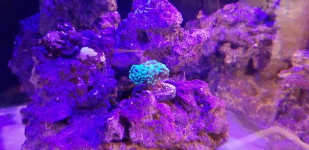 20180617_150552.jpg