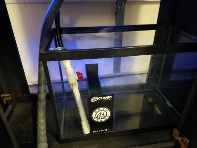 35162090_2023139814383276_5781158218164076544_n (1).jpg