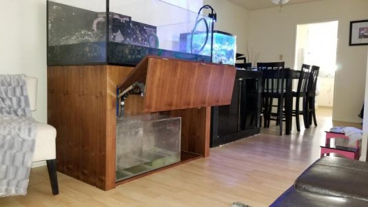 20180619_171348.jpg