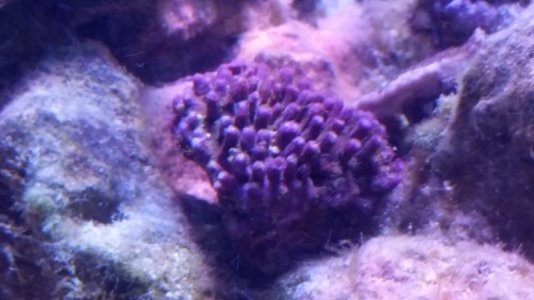 20180623_214157.jpg