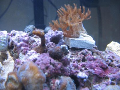 IMG_3143.jpg