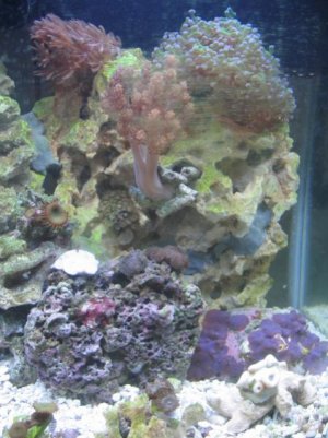 IMG_3234.jpg