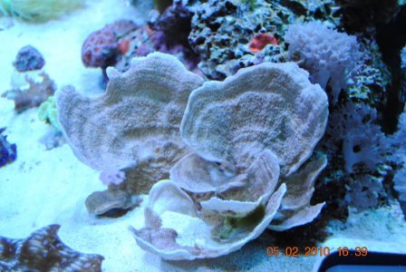 DSC_1032.jpg