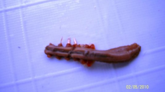 100_0460_piccola.jpg