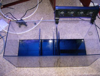 HPIM0422.jpg