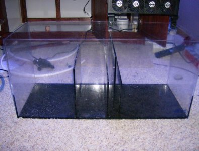 HPIM0423.jpg