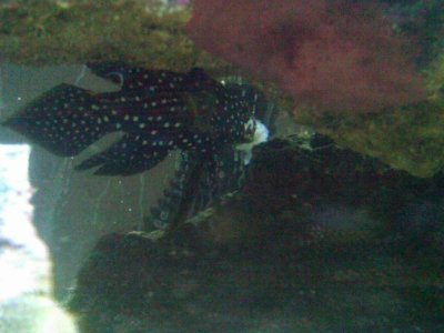 IMG00123-20100426-1948 (3).jpg