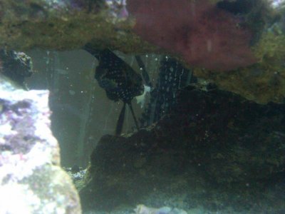 IMG00121-20100426-1946 (1).jpg