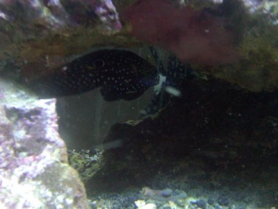 IMG00120-20100426-1946 (5).jpg