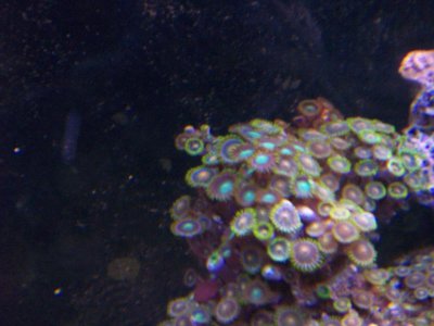 100_0654.jpg