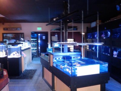 2010-05-09 13.39.25.jpg