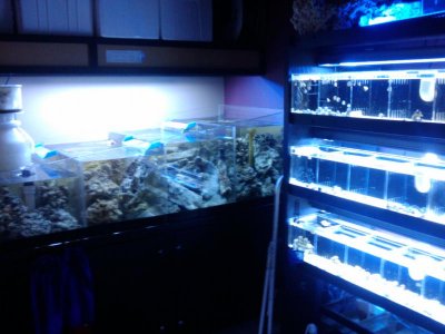 2010-05-09 13.59.00.jpg