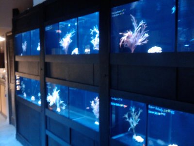 2010-05-09 13.39.49.jpg