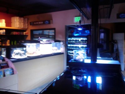 2010-05-09 13.40.03.jpg
