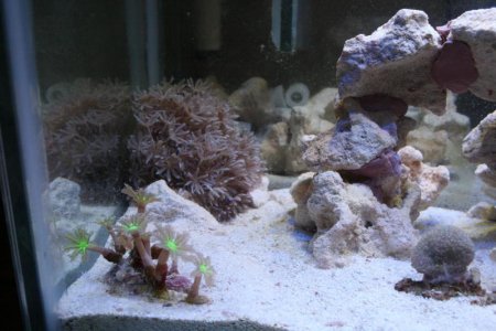 IMG_1736.jpg