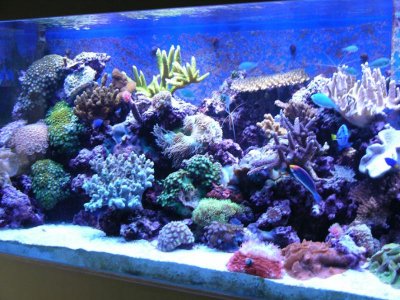 DSCN1739.jpg