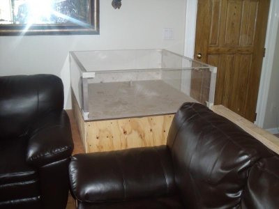 fish tank1.jpg