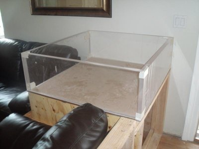 fish tank3.jpg