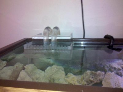 2010-05-09 17.55.31.jpg