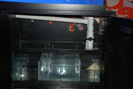 DSC_0001.jpg