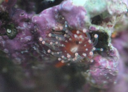 DSC_4889 (Small).jpg