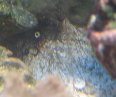 close pic.jpg