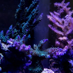 20180624_202634-1971x1975.jpg