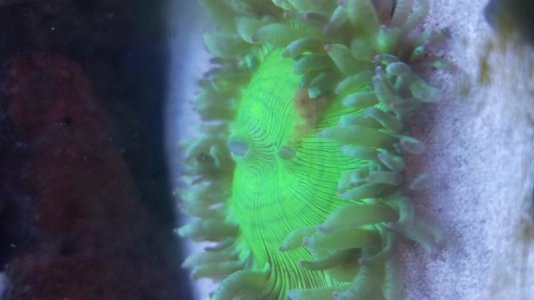 20180605_154717.jpg