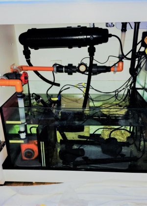 new plumbing.jpg