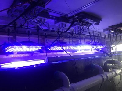LED system.jpg