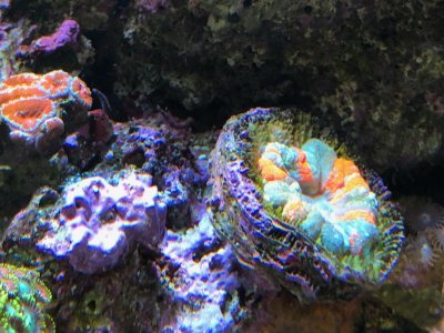 IMG_0557.jpg
