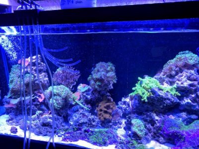 IMG_20180925_161024.jpg