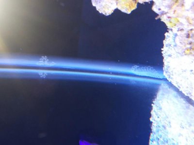 20180726_180247.jpg