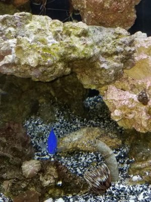 20180727_113637.jpg