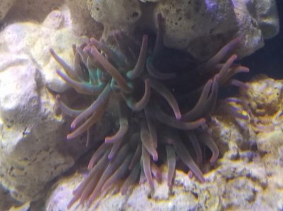 20180728_170828.jpg