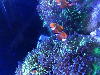 IMG_0796.jpg