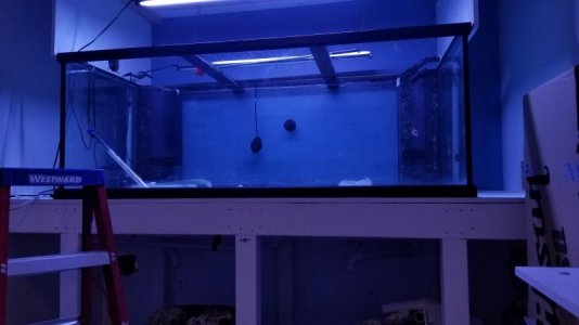 20181008_164853.jpg