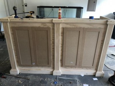 Aquarium Build 3.jpg