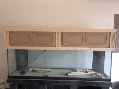 Aquarium Build 5.jpg