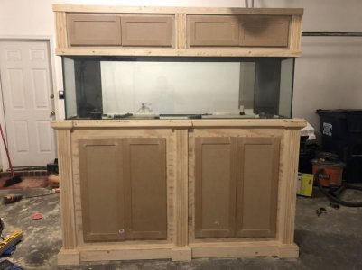 Aquarium Build 6.jpg