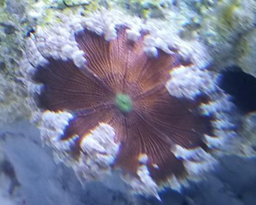 20180731_132423.jpg
