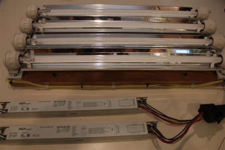 IMG_2255 (Medium).JPG