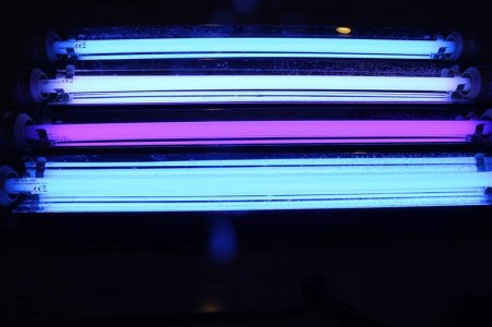 IMG_2254 (Medium).JPG