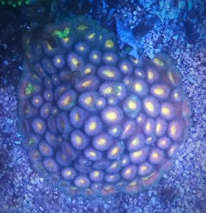 Screen Shot 2018-10-11 at 10.18.35 AM.jpg